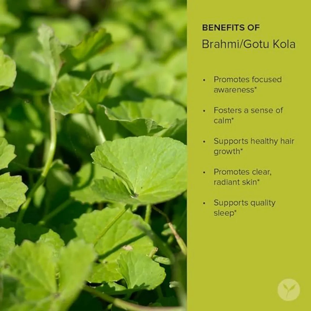 Brahmi/Gotu Kola Leaf Powder Organic 1 lb Banyan Botanicals