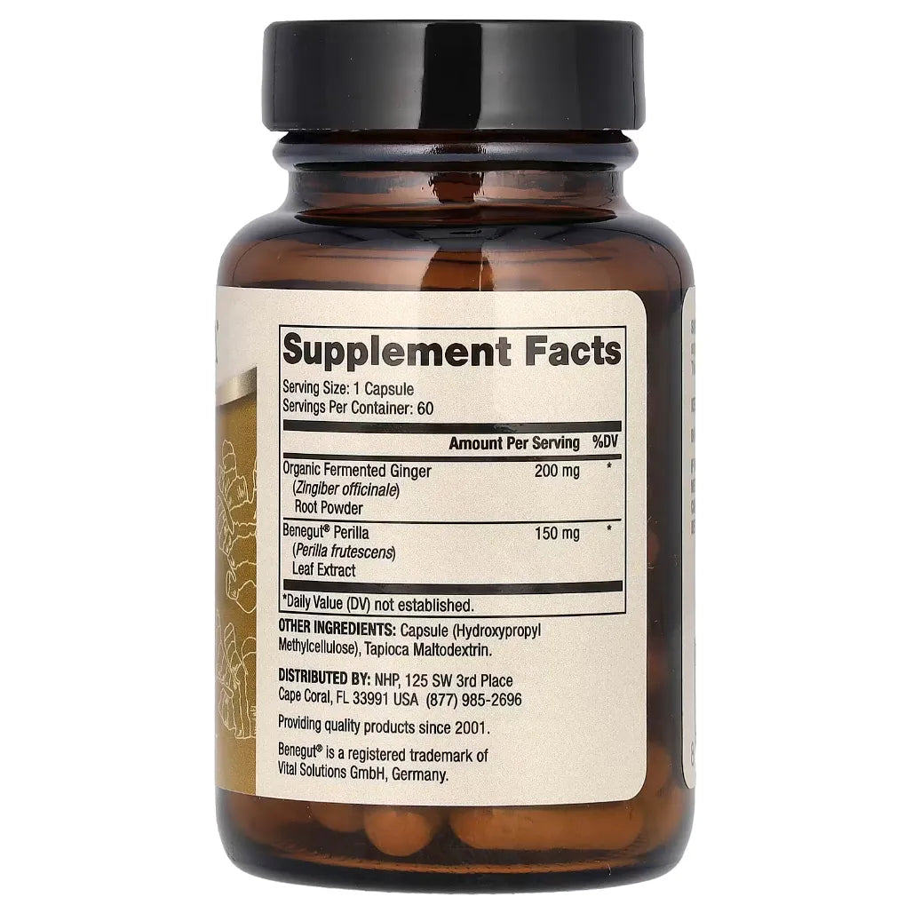 Dr. Mercola Fermented Ginger with Benegut Dietary Supplement, 60 Capsules