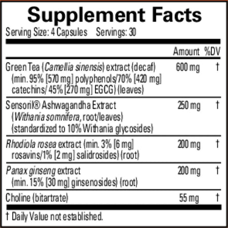  Brain MD - Focus and Energy - 120 Capsules | Supports Mental Sharpness and Productivity